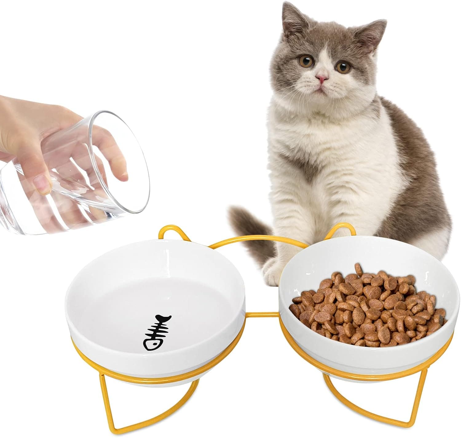Comedouro para gatos elevado com inclinação de 15 °, ergonómica, adequada para a alimentação de cachorros, gatos e cães pequenos