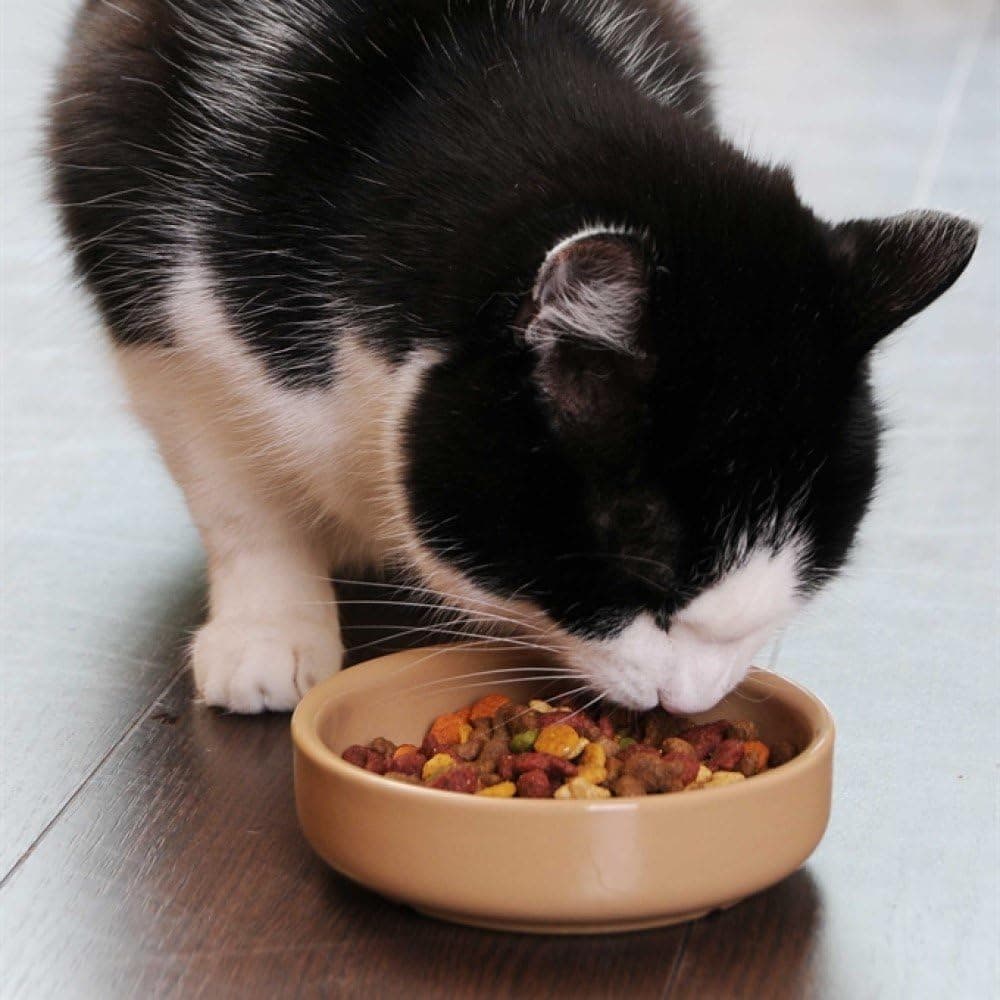 Mason Cash Prato para gato de cana de 13 cm