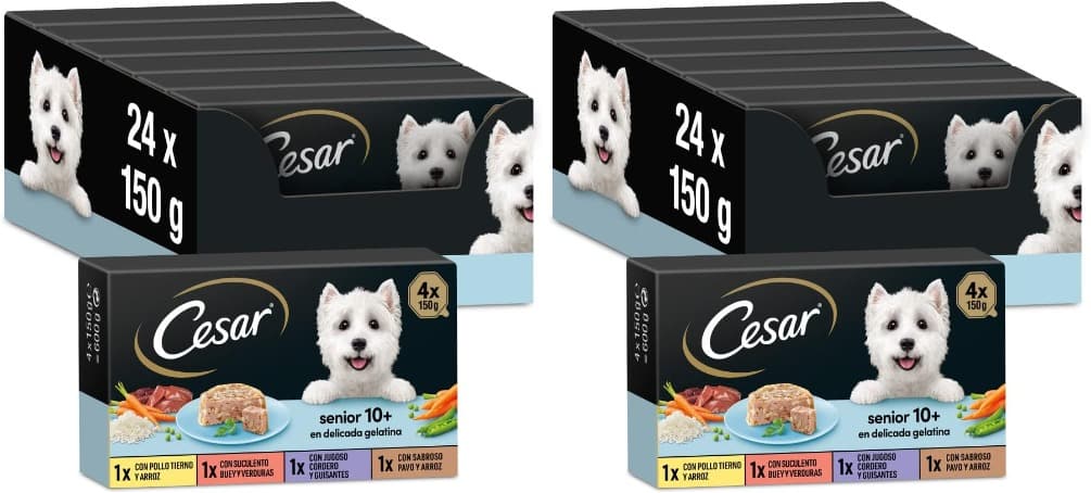 Cesar Comida húmida para cães sênior, seleção de arnês misto, 48 x 150 g)