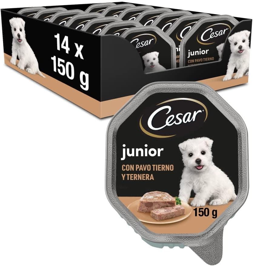 Cesar Comida húmida em gelatina para cães, cachorros, sabor de peru e vitela (embalagem de 14 frascos x 150 g)