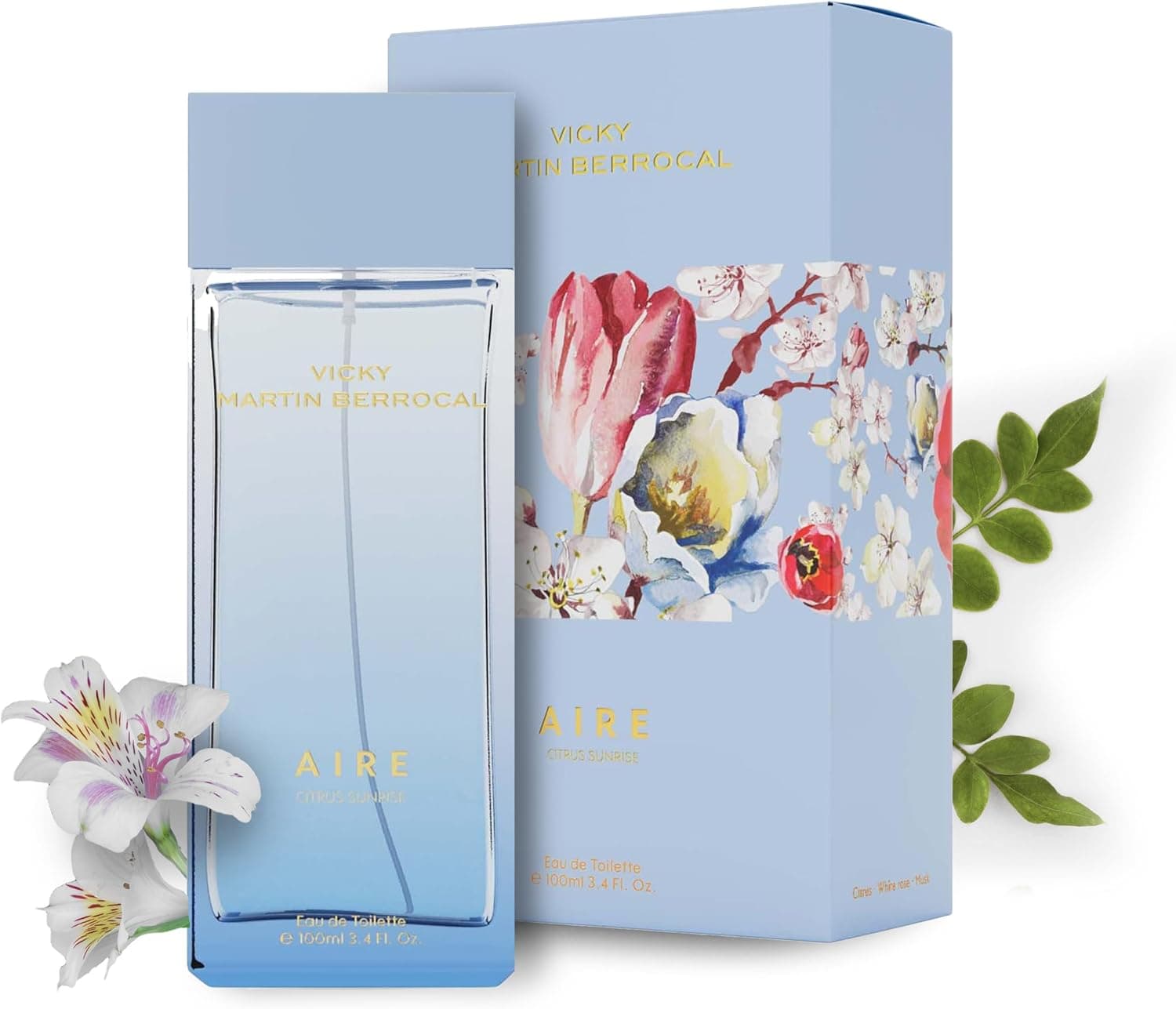 Perfume mulher Vicky Martín Berrocal Air EDT (100 ml)