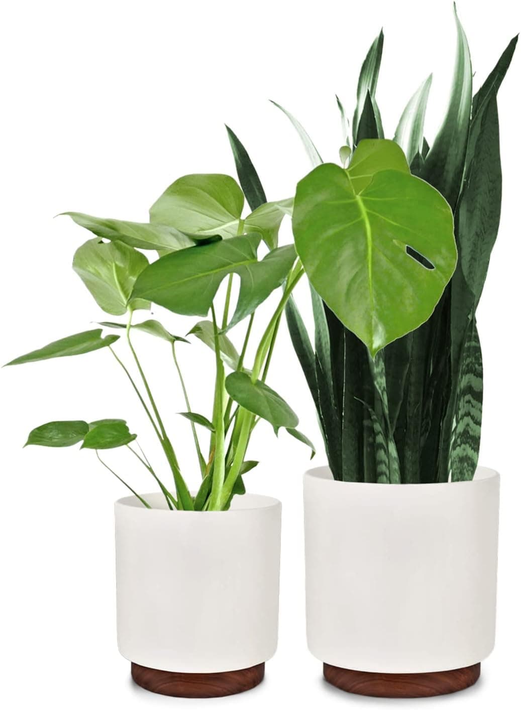 Fox & Fern Vasos grandes interiores e exteriores Set 2, vasos resistentes a raios UV e gelados, vaso decorativo interior plantas e flores, tampa drenagem, vasos de flores grandes em poliéster