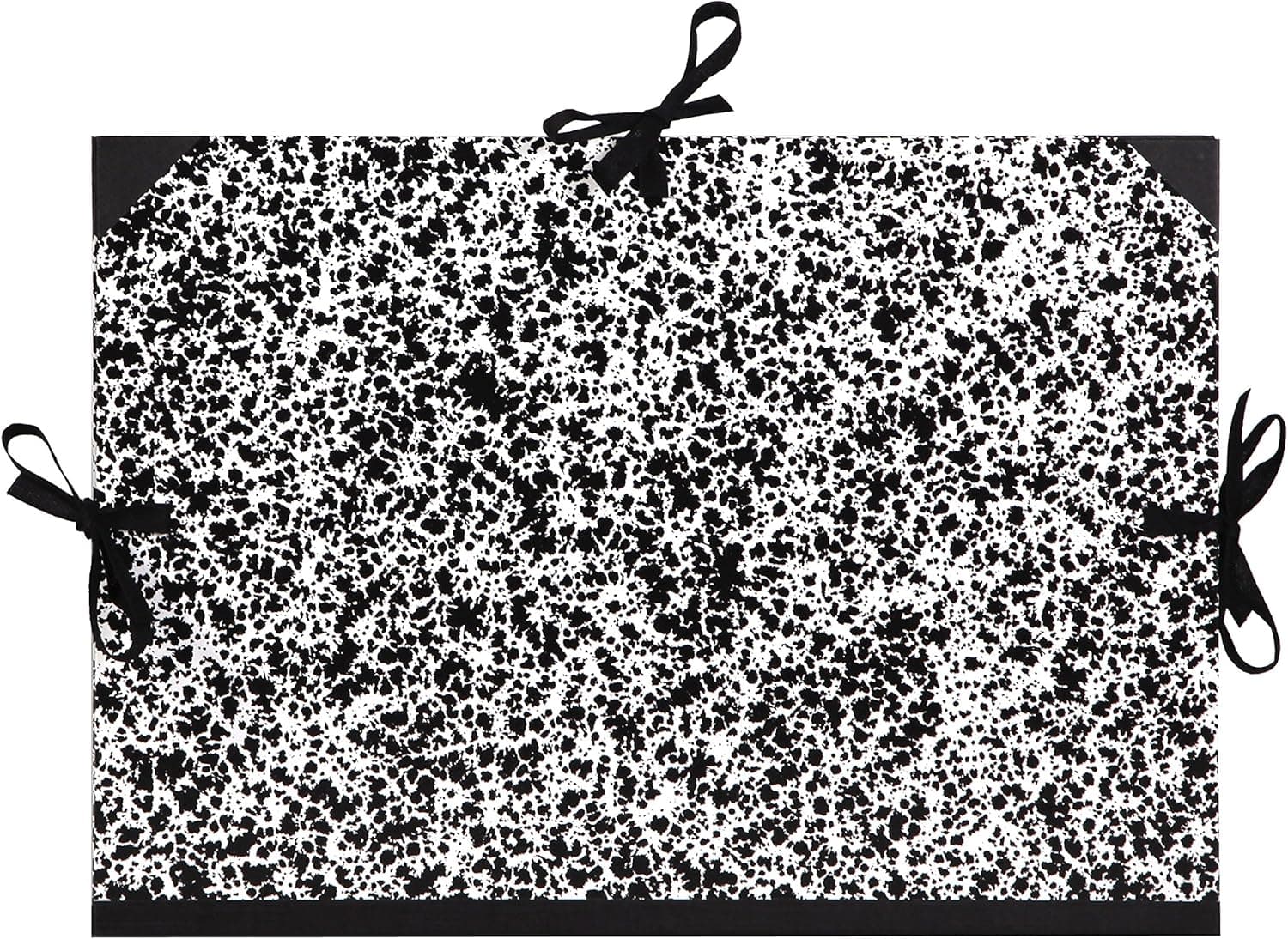 Clairefontaine 33402C pasta para desenho Annonay com fecho de 3 cordões – 75 × 115 cm, branca, ideal para transportar e proteger trabalhos artísticos