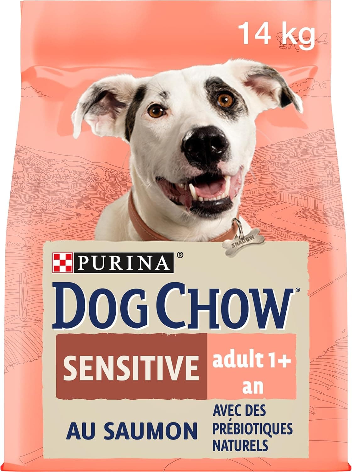 Dog Chow Purina Alimentação para cão adulto com digestão sensível salmão, saco de 14 kg
