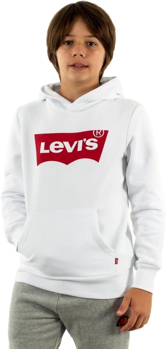 Levi's Screenprint Batwing | Sweatshirt com capuz para criança