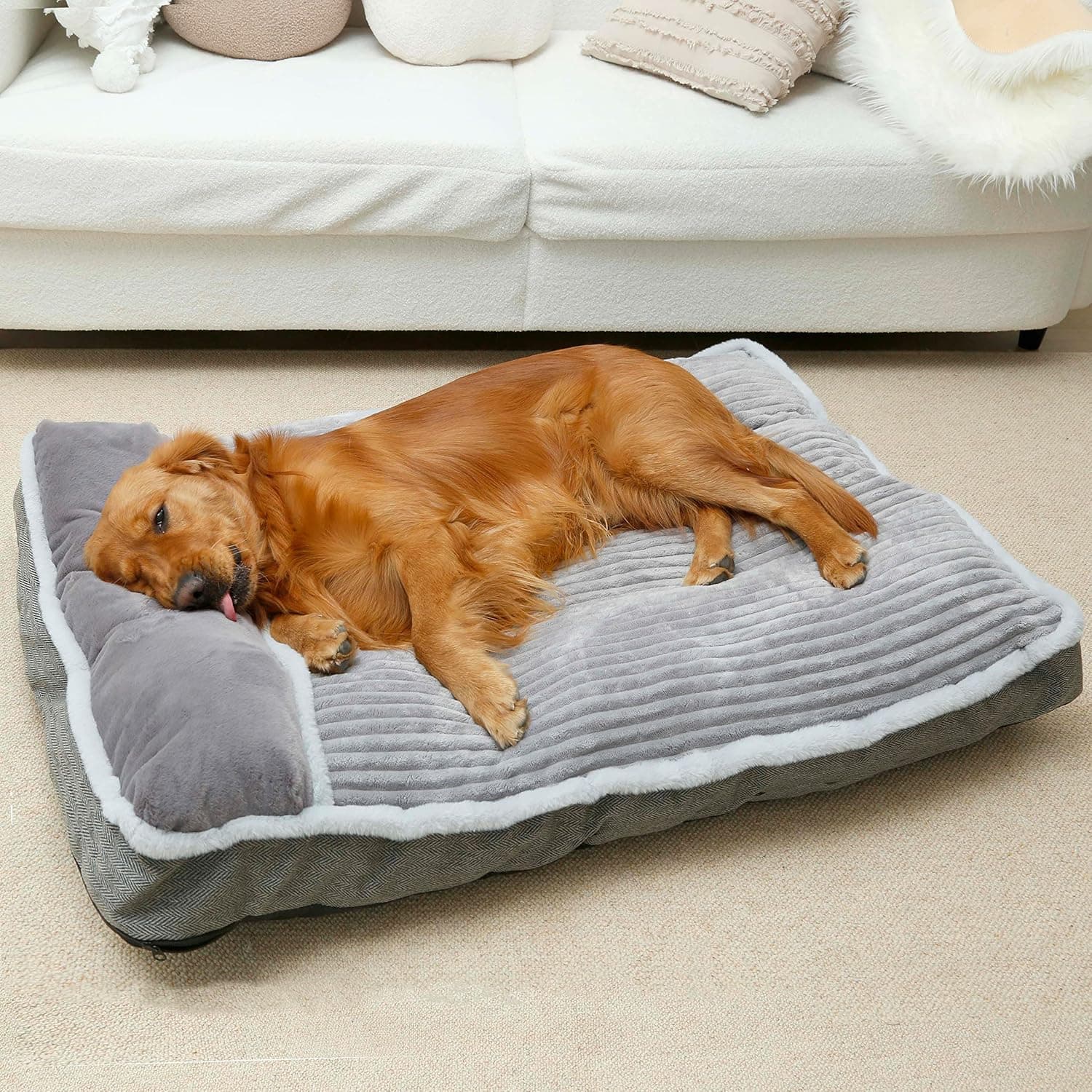 WINDRACING Cama para cães pequenos e médios