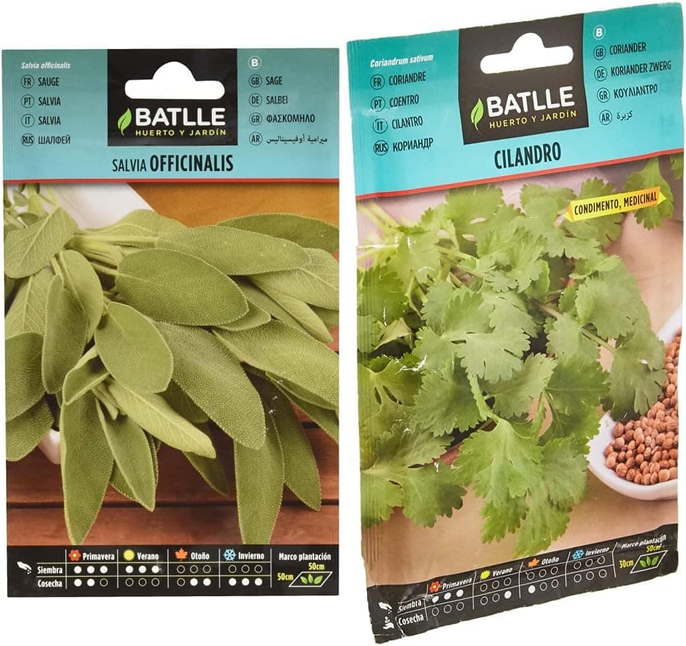 Salvia OFICINALIS & Batlle sementes aromáticas, Coentro