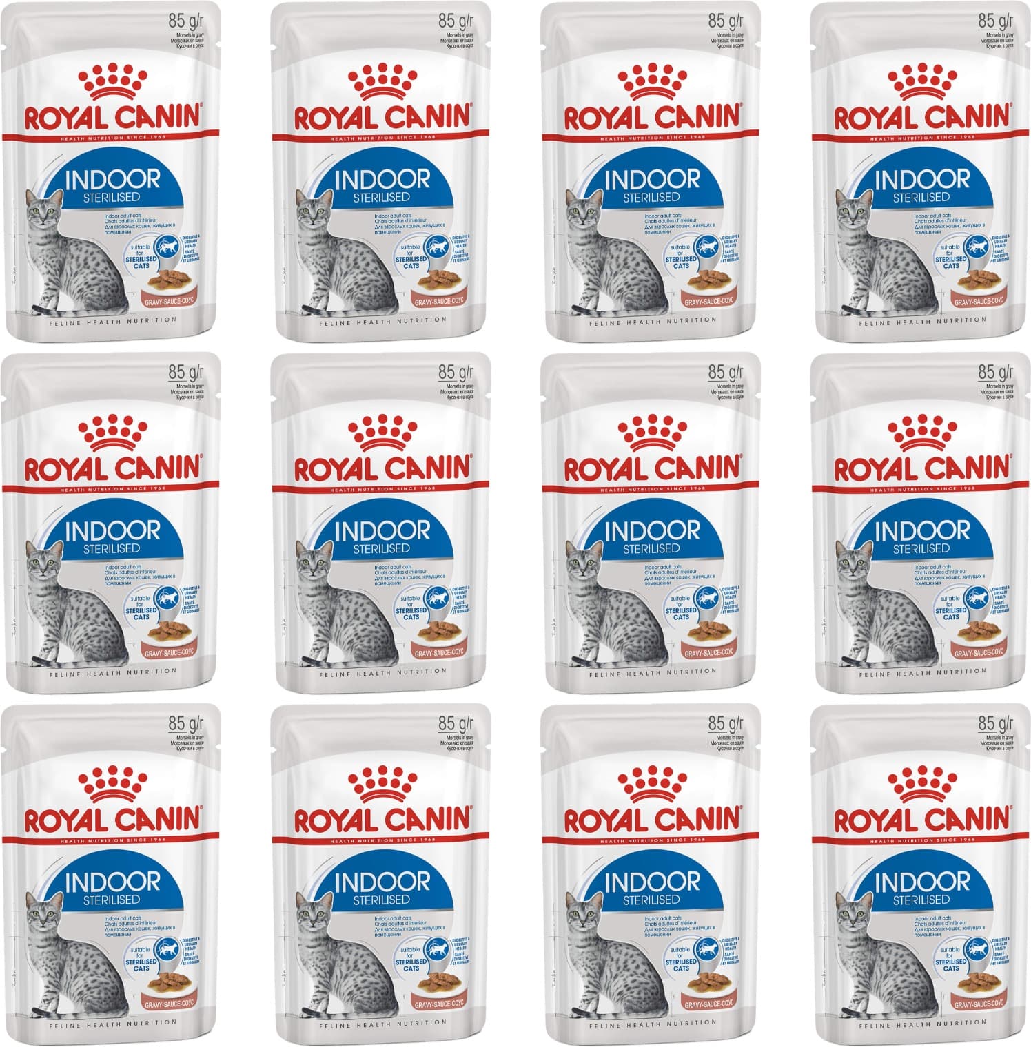 Royal Canin FHN Wet Indoor | Comida húmida para gatos de interior com molho, 12 x 85 g