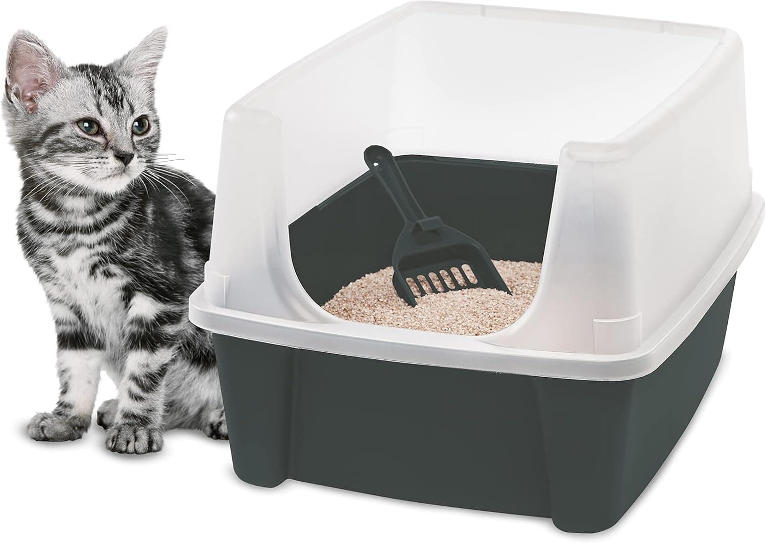 Iris Ohyama Areneiro de gato com pá, até 7 kg, cinzento, caixa de areia para gatos, caixa, para gatos grandes e pequenos, agadeiro, caixa, WC, limpeza fácil, livre de BPA, Cat Litter Box, CLH-12