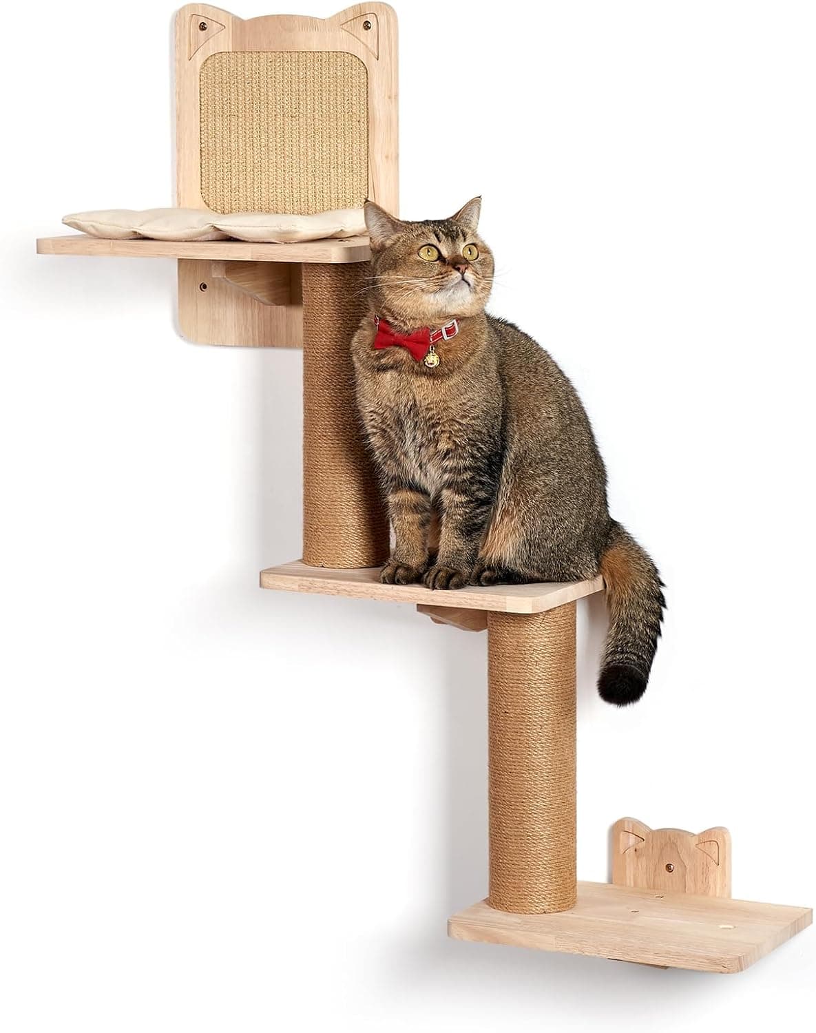 LitaiL Raspador de parede para gatos | Estrutura de escalada em madeira maciça com 3 plataformas para gatos até 20 kg