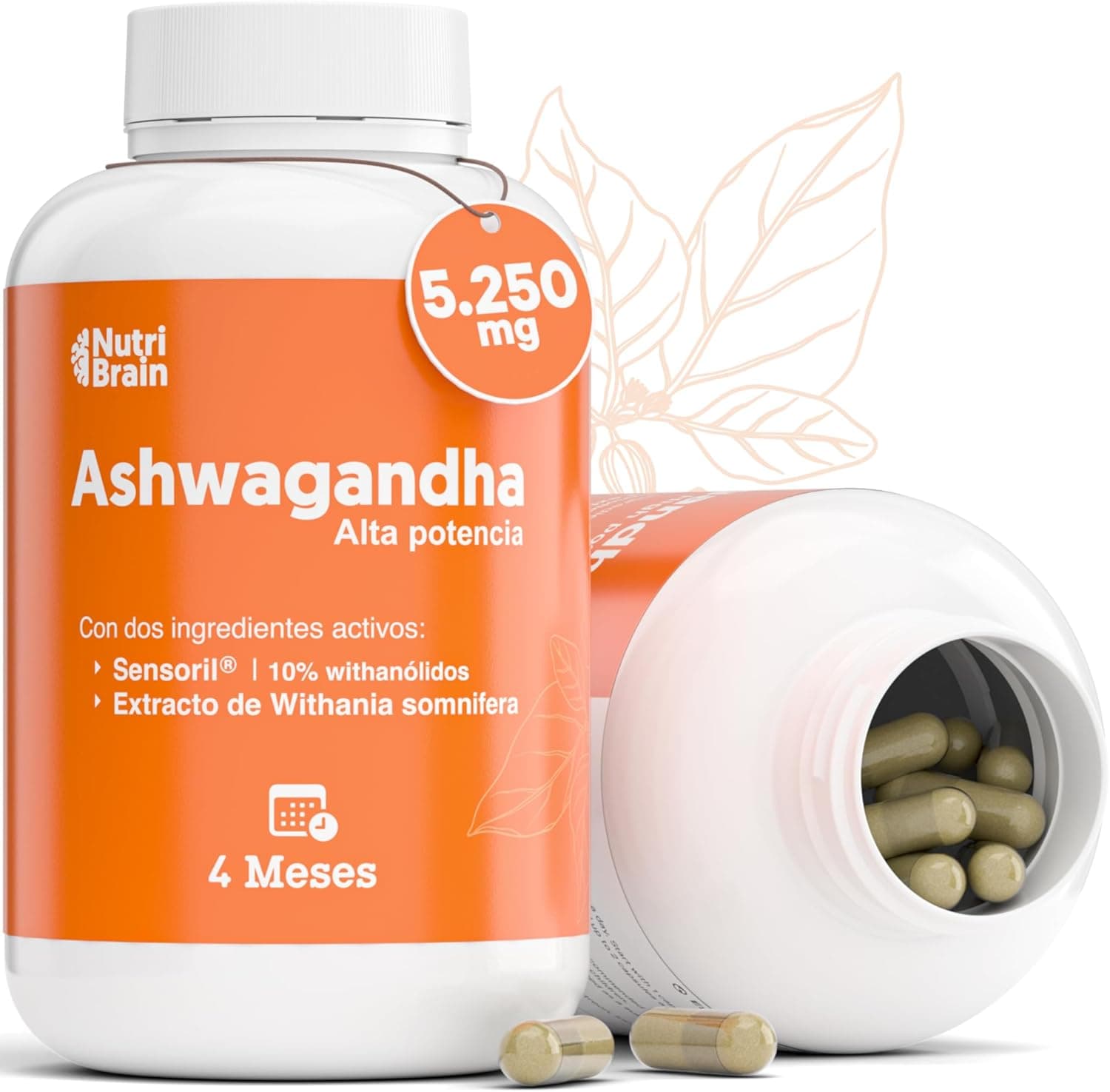 Ashwagandha Alta potência: Adaptogénio e nootrópico com Sensoril® (10 % Withanolidos) | sono profundo, bem-estar geral, energia, concentração | 4 meses | 2x mais concentrado que o KSM-66