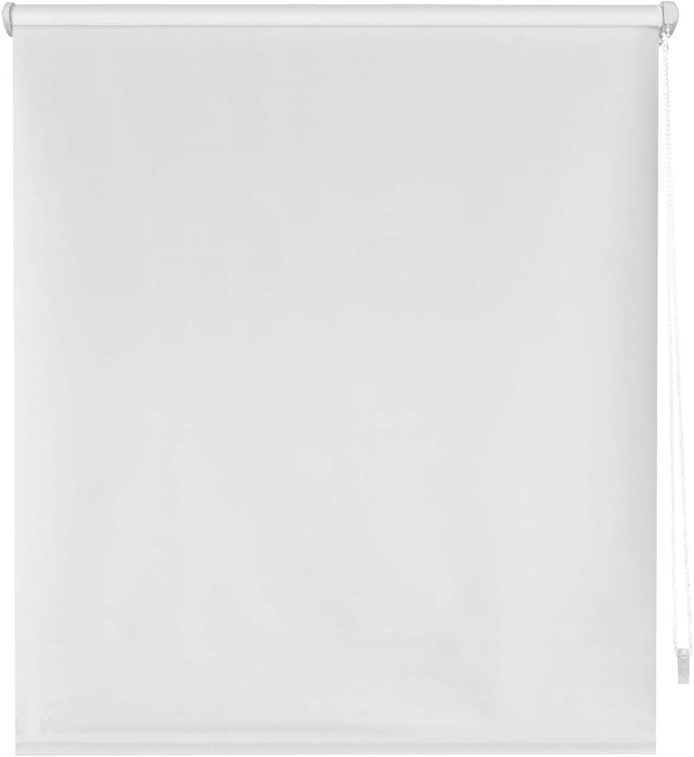 Blindecor Liso BK, Zeus sem ferramentas, estore enrolado 100 % opaco