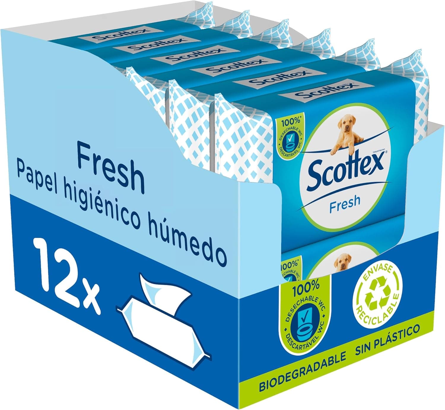 Scottex Papel higiénico húmido fresco com água micelar e vitamina E, biodegradável e sem plástico, caixa de 12 embalagens de 38 serviços, total 456 toalhas húmidas descartáveis por WC