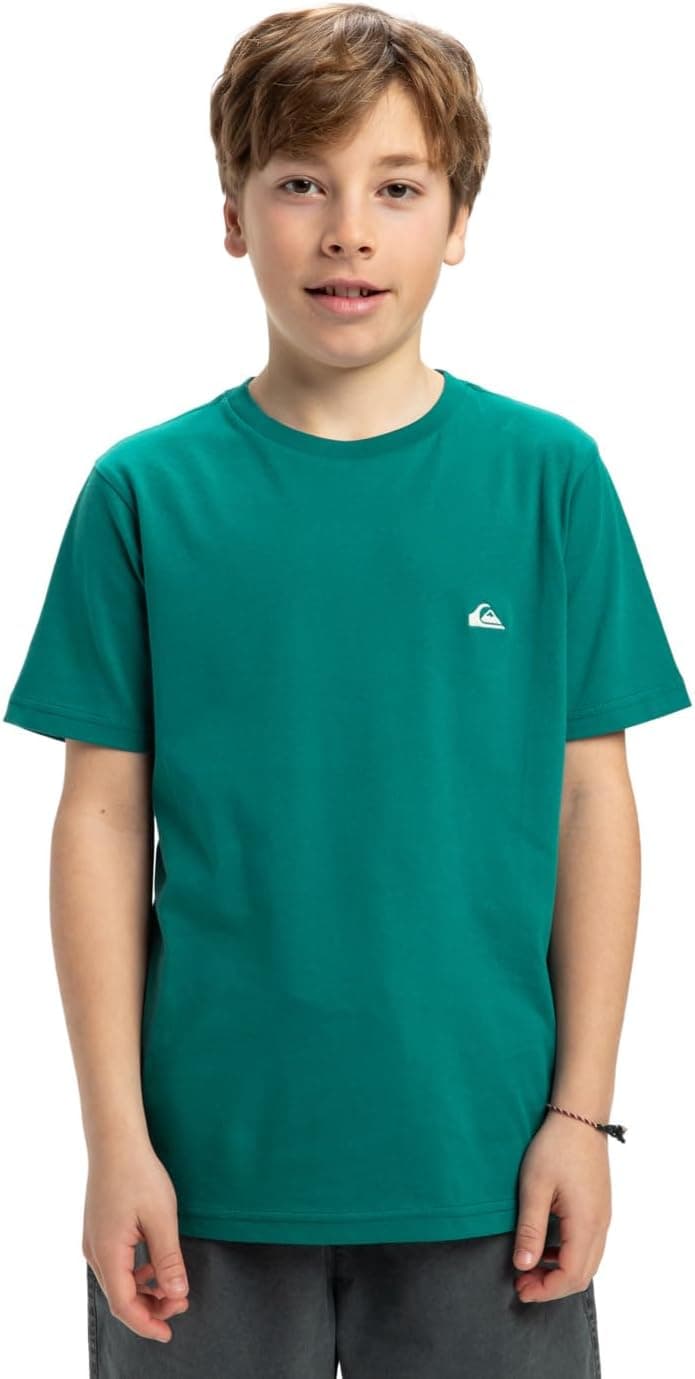 Quiksilver Basic SS tee Youth t-shirt crianças
