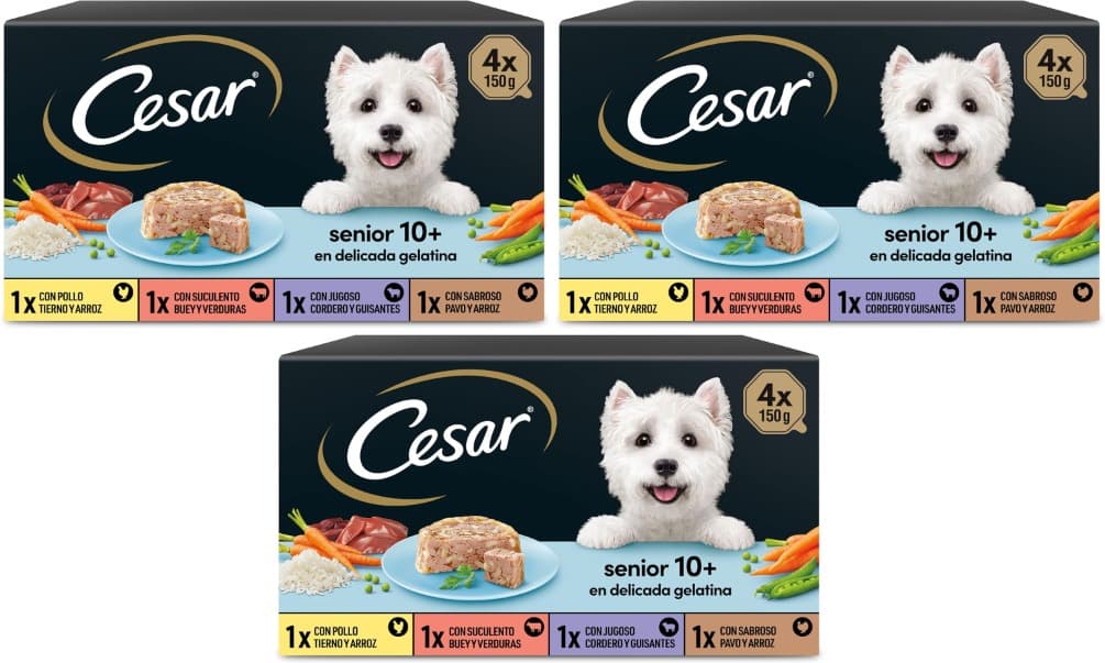 Cesar Tarrinas de comida húmida para cães idosos, seleção de arnês mistas, 150g x 12
