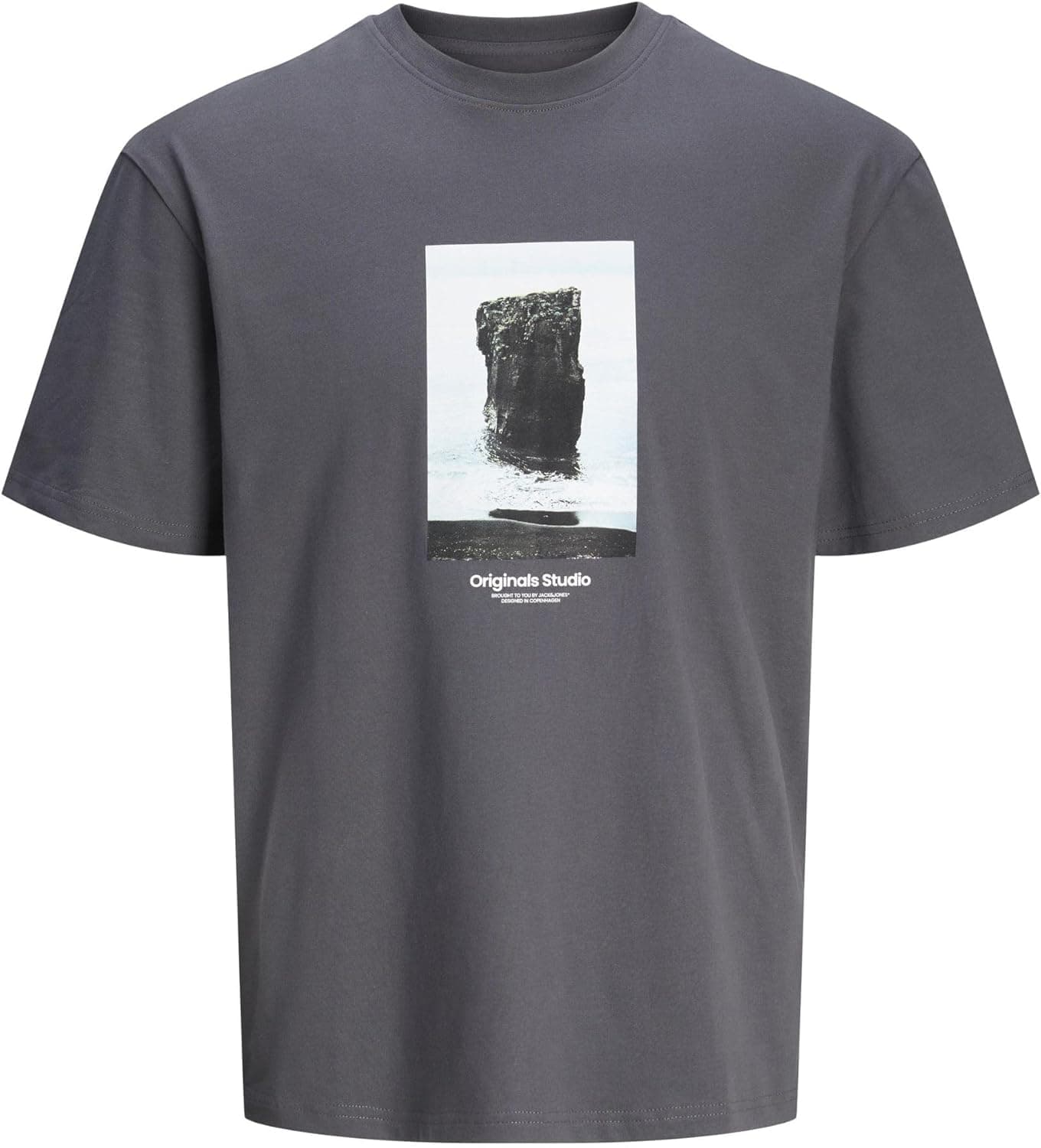 JACK & JONES Jorvesterbro Picture tee T-shirt para homem