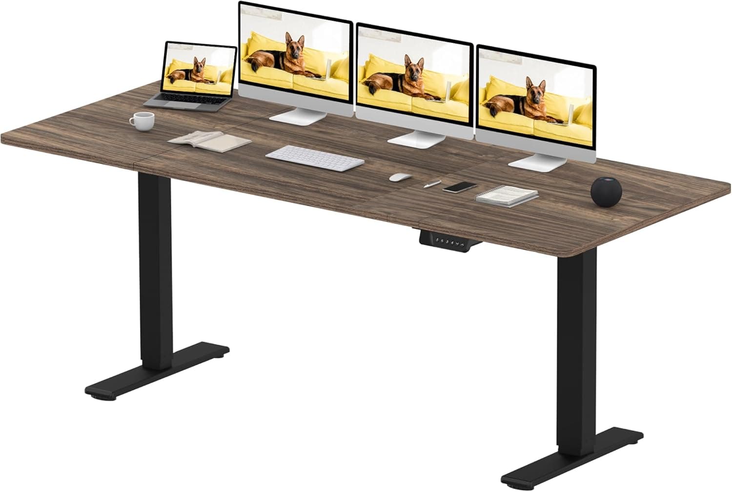 SANODESK Mesa ajustável com 2 motores potentes, 200 x 80 cm, mesa ajustável em altura elétrica, mesa de elevação elétrica, Standing Desk com 4 funções de memória, 120 kg de carga (castanho)