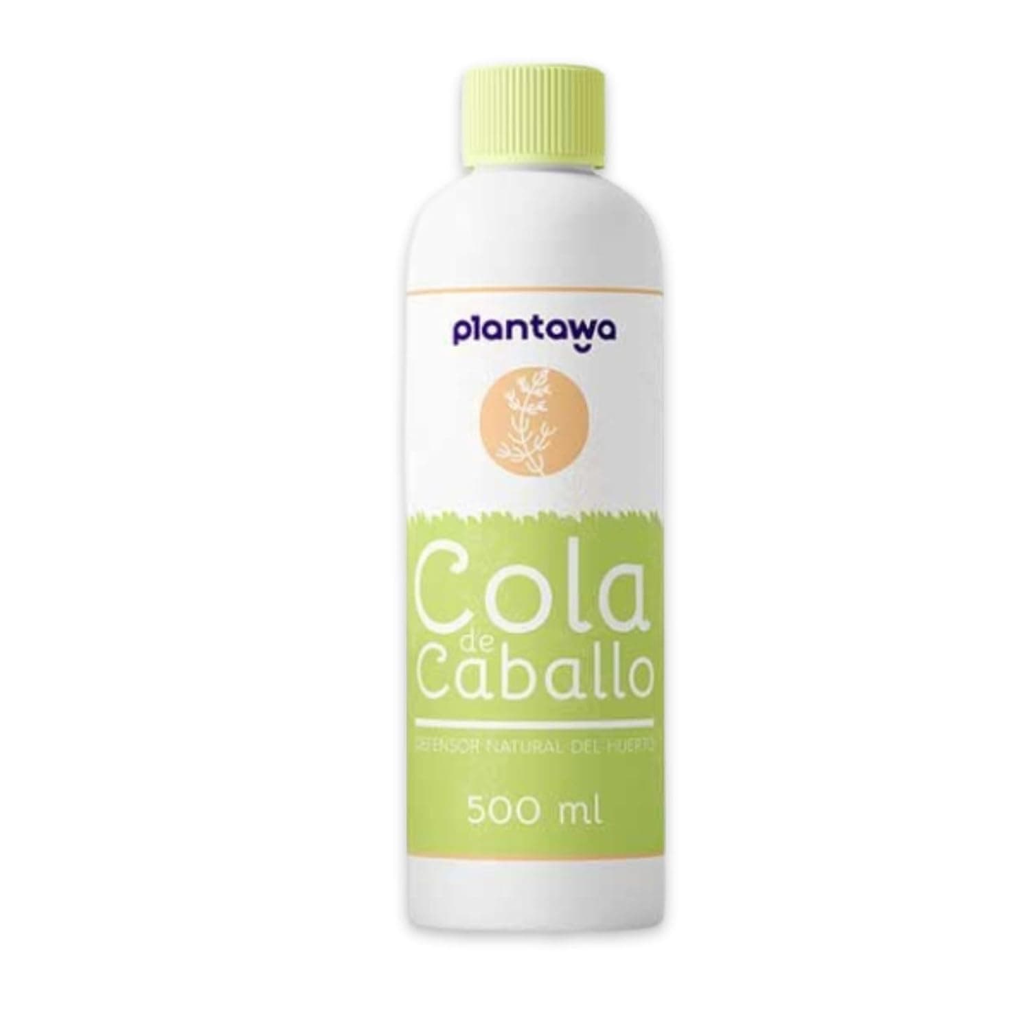 PLANTAWA Horsetail | Solução natural para proteção de plantas e controlo de fungos, 500 ml