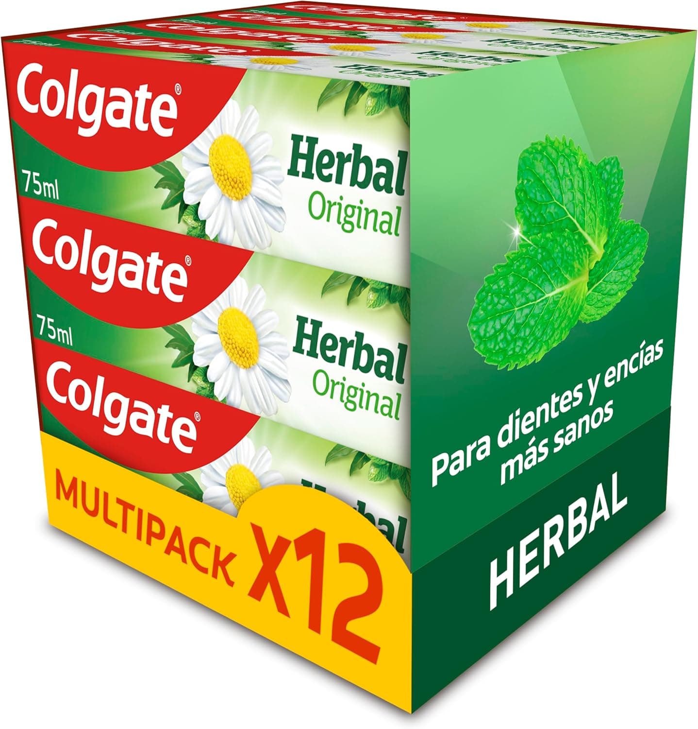 Colgate Herbal | Pasta de dentes com extratos naturais, sabor eucalipto, pack de 12 x 75 ml