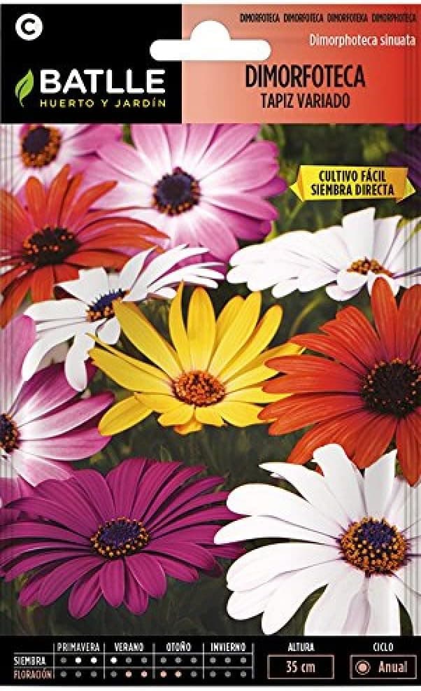 Semillas Batlle Dimorfoteca Tapiz | Sementes de flores variadas para jardim