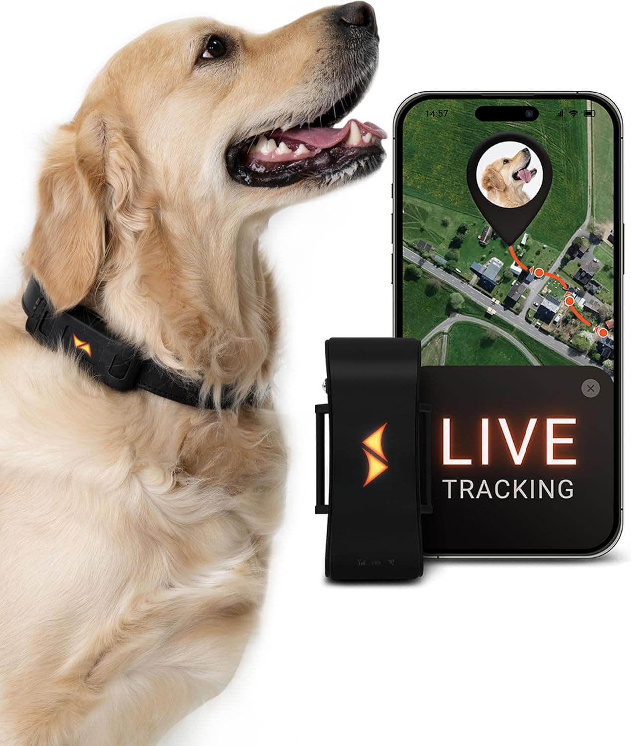 PAJ GPS Dog GPS Locator 4G | Localizador GPS para cães com rastreamento em tempo real, alarme e resistência à água