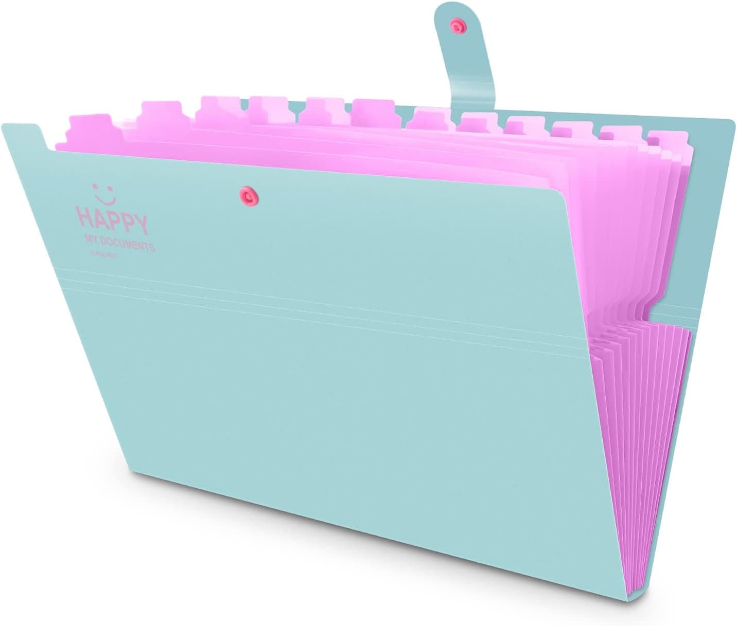 HAISSKY | Pasta organizadora A4 impermeável com 12 divisórias para documentos, verde e rosa
