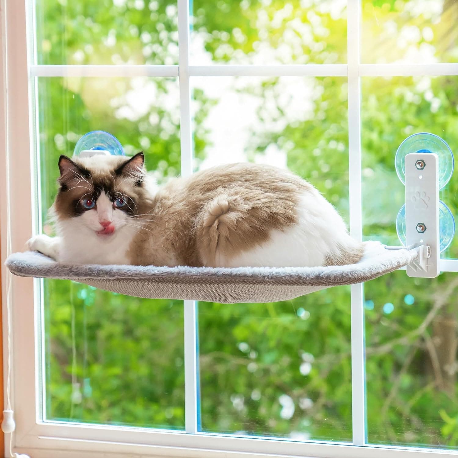 MEWOOFUN Folding Hammock | Cama de janela para gato com ventosas e base reversível suporta até 18 kg