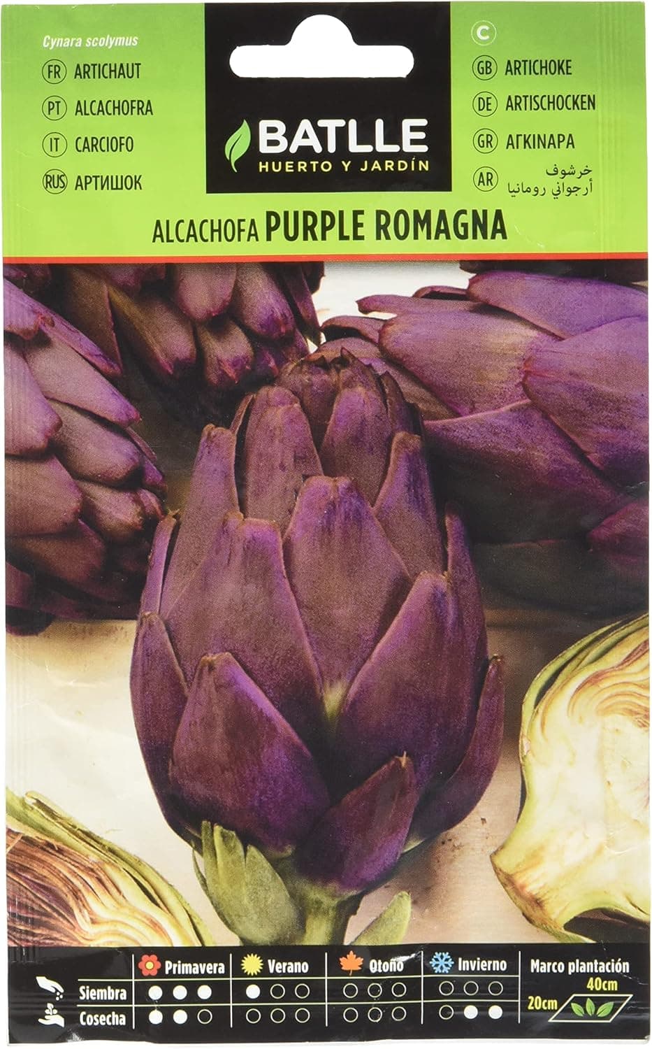 Semillas Batlle Purple Romagna | Sementes de alcachofra roxa para cultivo