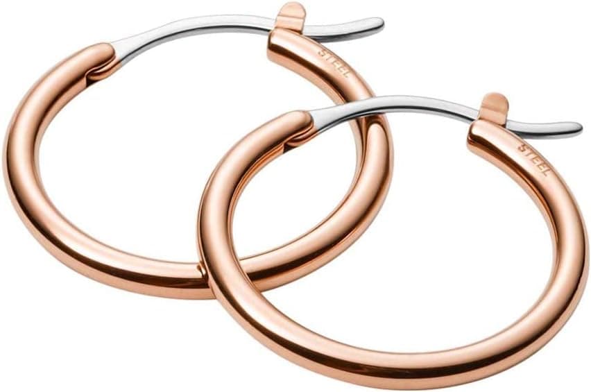 FOSSIL Brincos femininos Lever Back em aço inoxidável ou pedras semipreciosas