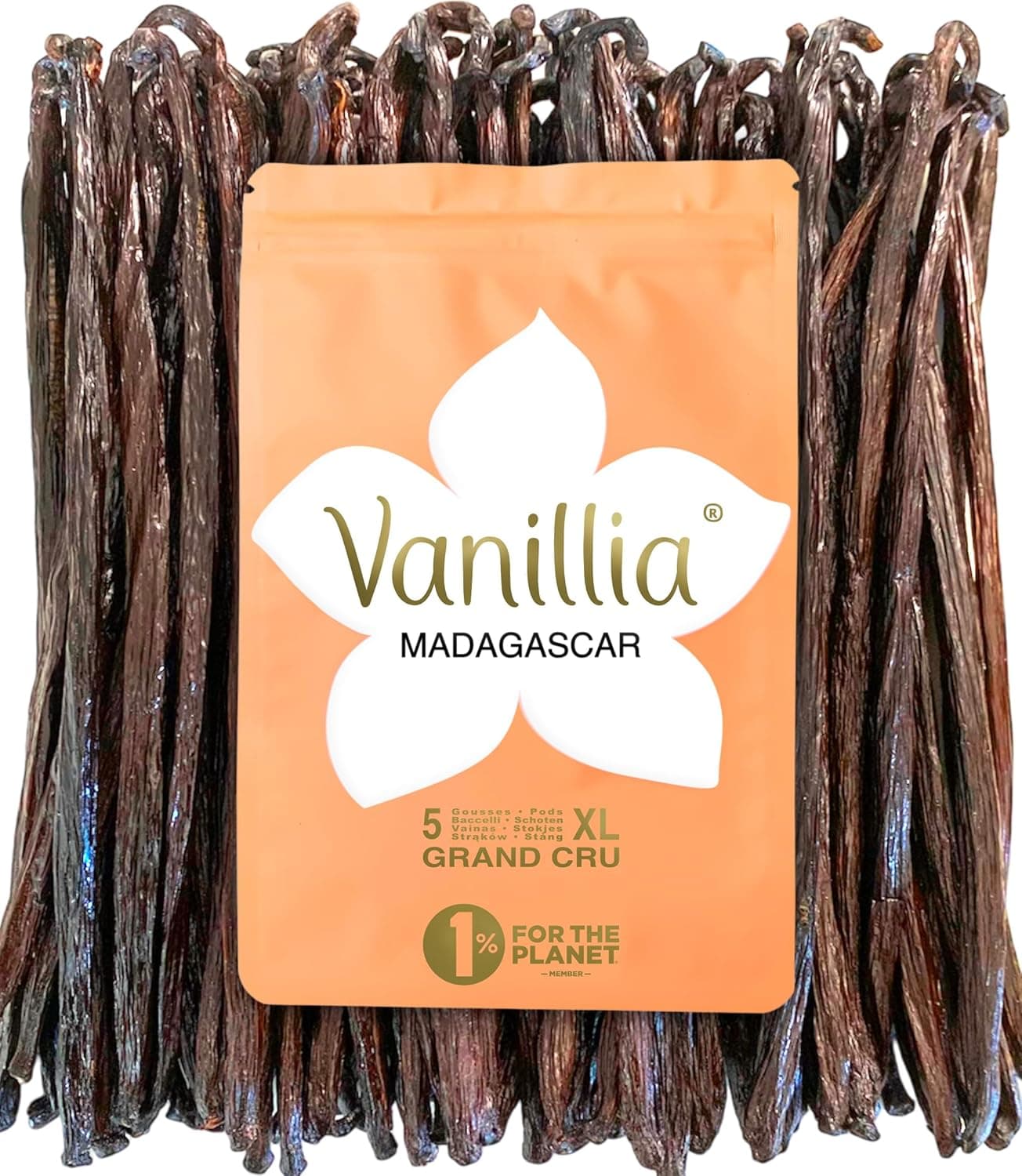 VANILLIA • 5 bainhas XL de baunilha bourbon de madagáscar • GRAND CRU de 2025 • bainha XL 15/18 cm • baunilha de madagáscar • bolsa FreshZIP resealável