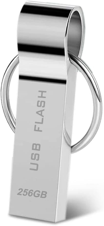 WAFANGZHUN Memória USB de 256 GB USB 3.0 de 256 GB, resistente à água, metal, armazenamento de dados, unidade USB com porta-chaves para computador portátil, carro, computador